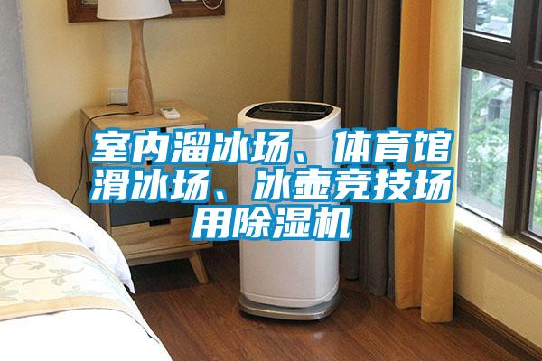 室內(nèi)溜冰場、體育館滑冰場、冰壺競技場用除濕機