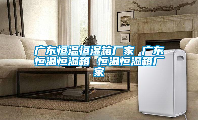 廣東恒溫恒濕箱廠(chǎng)家 廣東恒溫恒濕箱 恒溫恒濕箱廠(chǎng)家