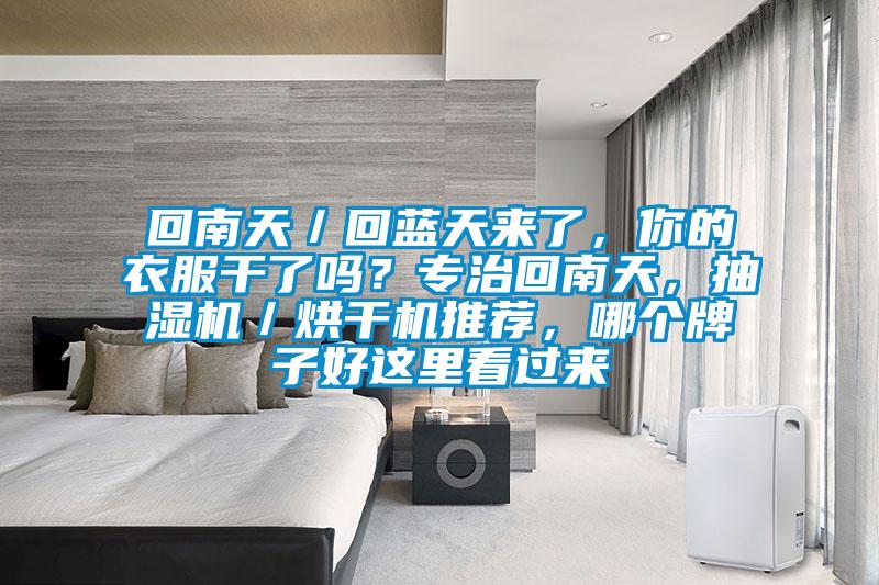 回南天／回藍(lán)天來了，你的衣服干了嗎？專治回南天，抽濕機(jī)／烘干機(jī)推薦，哪個(gè)牌子好這里看過來