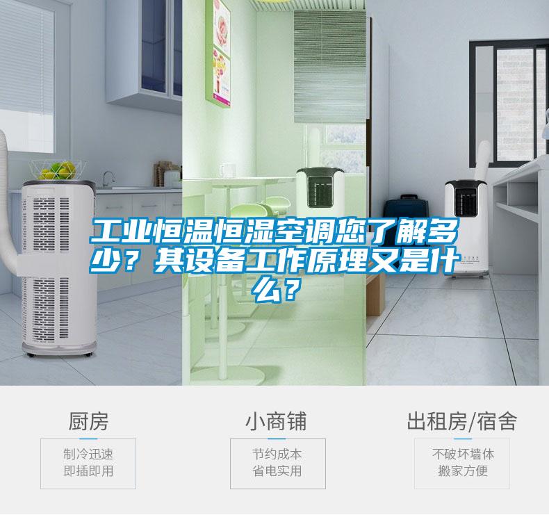 工業(yè)恒溫恒濕空調(diào)您了解多少？其設(shè)備工作原理又是什么？