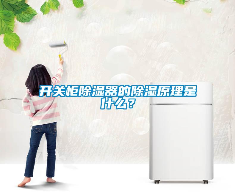 開關(guān)柜除濕器的除濕原理是什么？