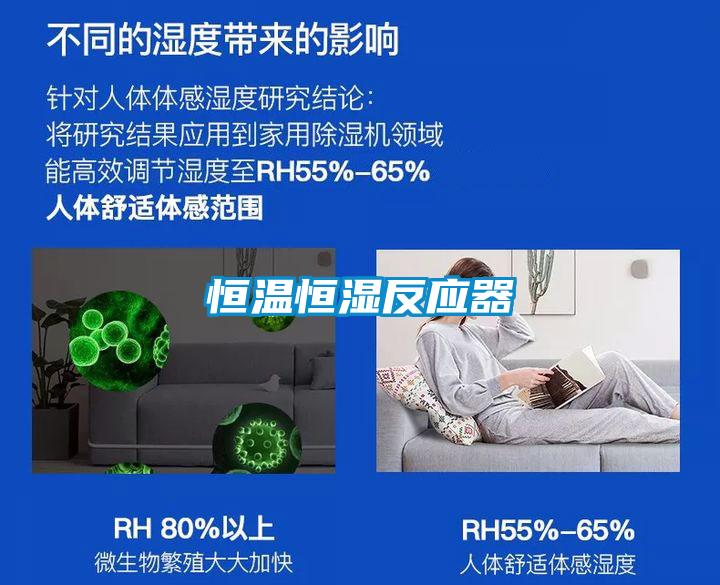 恒溫恒濕反應器