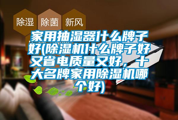 家用抽濕器什么牌子好(除濕機(jī)什么牌子好又省電質(zhì)量又好，十大名牌家用除濕機(jī)哪個好)