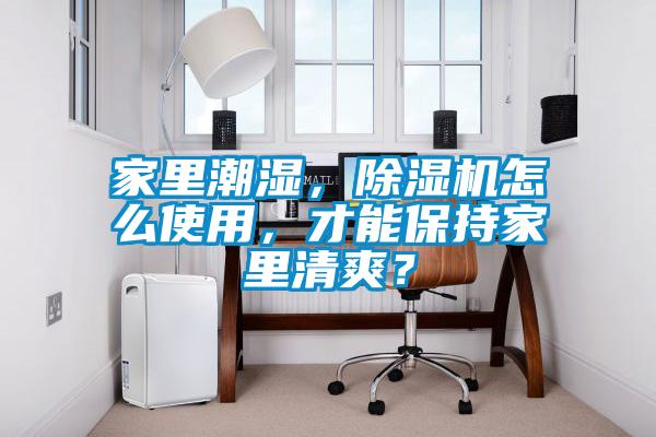 家里潮濕，除濕機怎么使用，才能保持家里清爽？