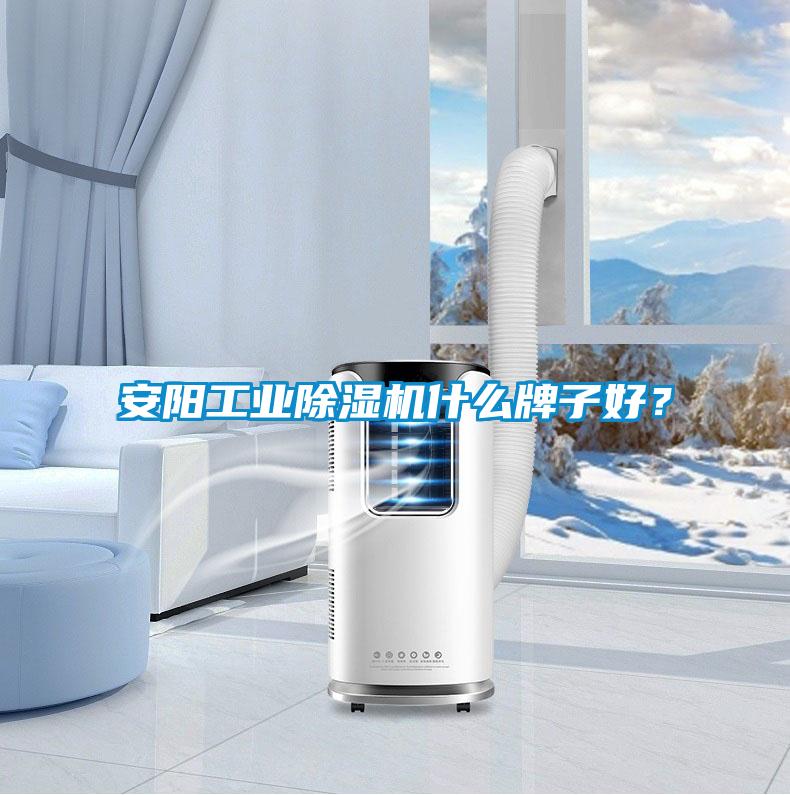 安陽工業(yè)除濕機(jī)什么牌子好？