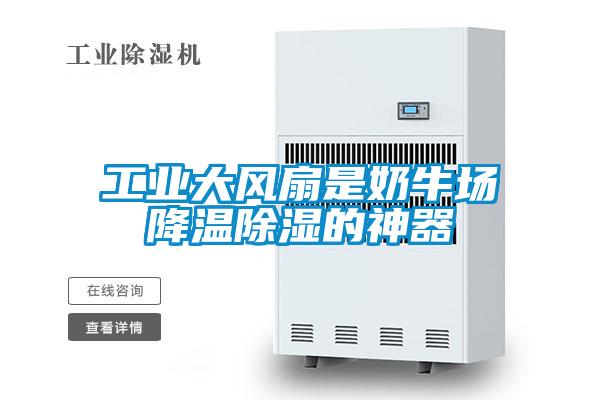 工業(yè)大風扇是奶牛場降溫除濕的神器