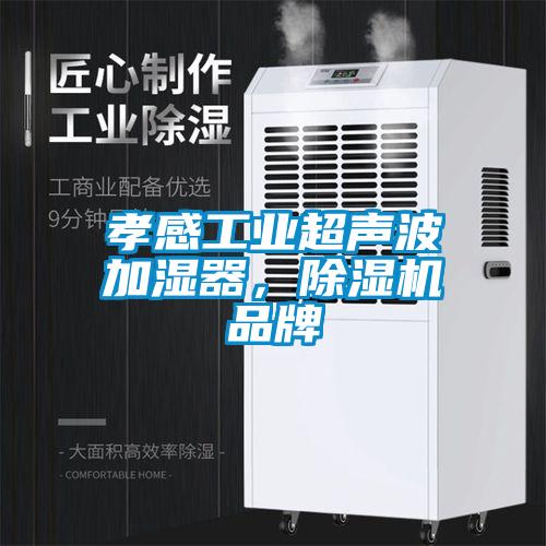 孝感工業(yè)超聲波加濕器，除濕機品牌
