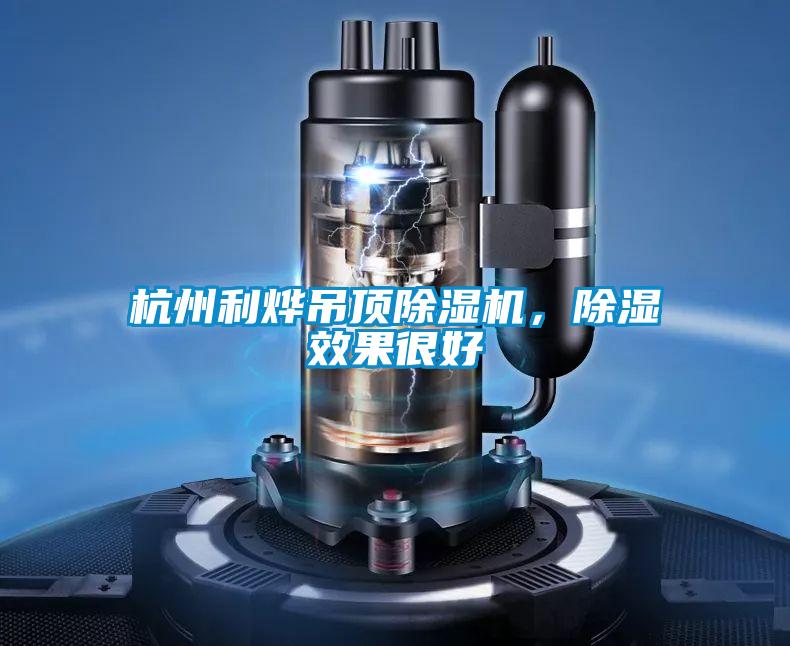 杭州利燁吊頂除濕機，除濕效果很好