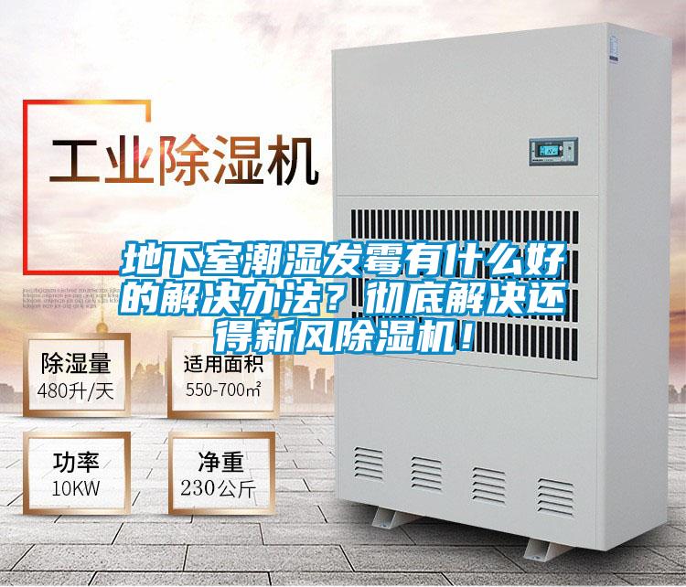 地下室潮濕發(fā)霉有什么好的解決辦法？徹底解決還得新風(fēng)除濕機(jī)！