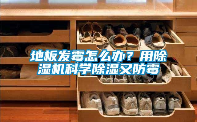 地板發(fā)霉怎么辦？用除濕機(jī)科學(xué)除濕又防霉