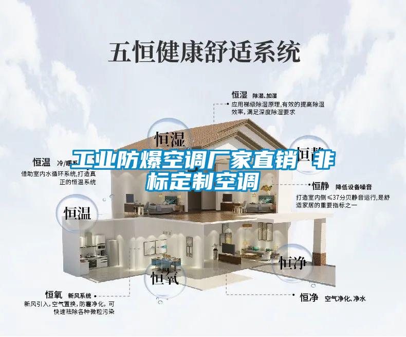工業(yè)防爆空調廠家直銷 非標定制空調