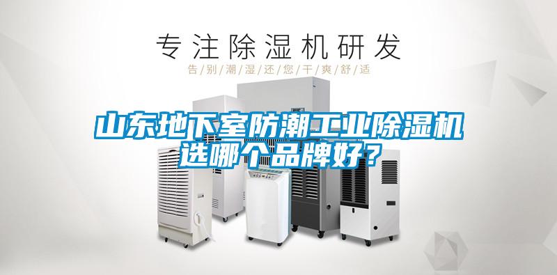 山東地下室防潮工業(yè)除濕機(jī)選哪個品牌好？