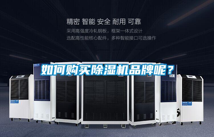 如何購(gòu)買(mǎi)除濕機(jī)品牌呢？