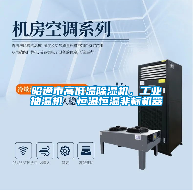 昭通市高低溫除濕機(jī)，工業(yè)抽濕機(jī)  恒溫恒濕非標(biāo)機(jī)器
