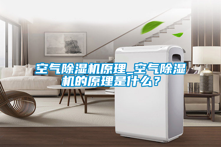 空氣除濕機(jī)原理_空氣除濕機(jī)的原理是什么？