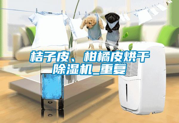 桔子皮、柑橘皮烘干除濕機_重復
