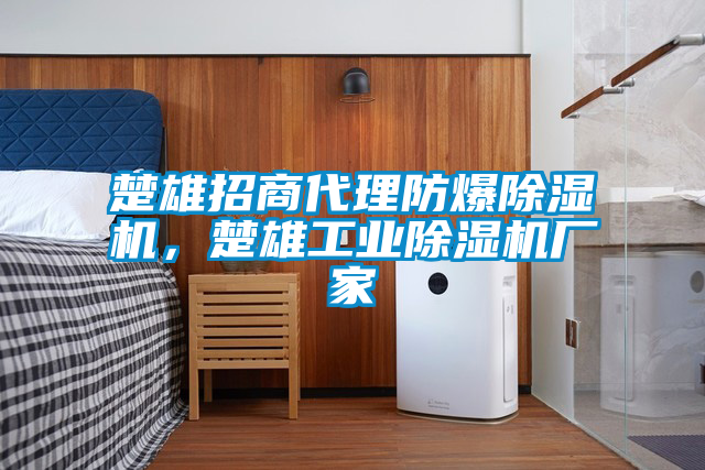 楚雄招商代理防爆除濕機(jī)，楚雄工業(yè)除濕機(jī)廠家