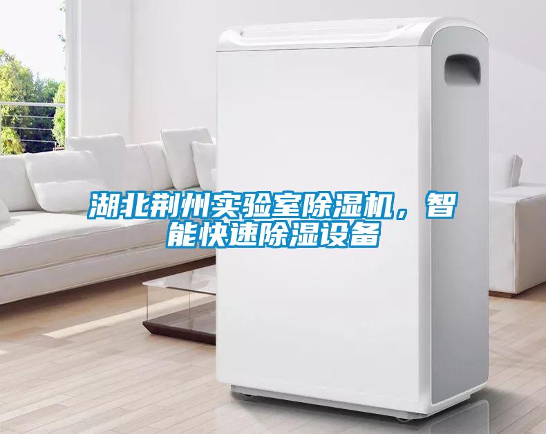 湖北荊州實(shí)驗(yàn)室除濕機(jī)，智能快速除濕設(shè)備