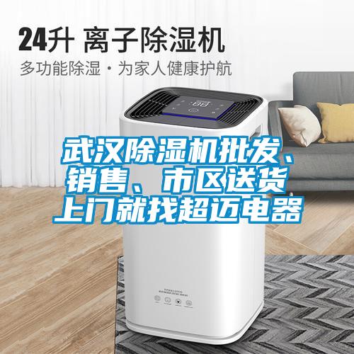 武漢除濕機(jī)批發(fā)、銷售、市區(qū)送貨上門就找超邁電器