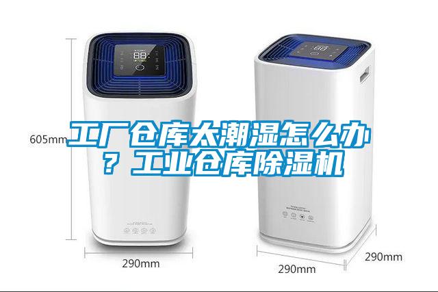 工廠倉庫太潮濕怎么辦？工業(yè)倉庫除濕機(jī)