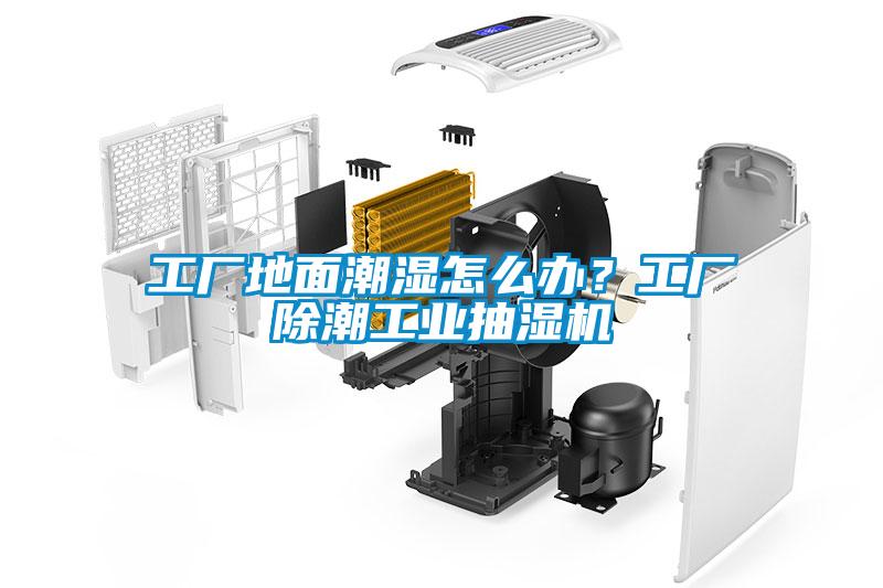 工廠地面潮濕怎么辦？工廠除潮工業(yè)抽濕機(jī)