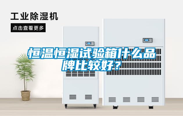 恒溫恒濕試驗箱什么品牌比較好？