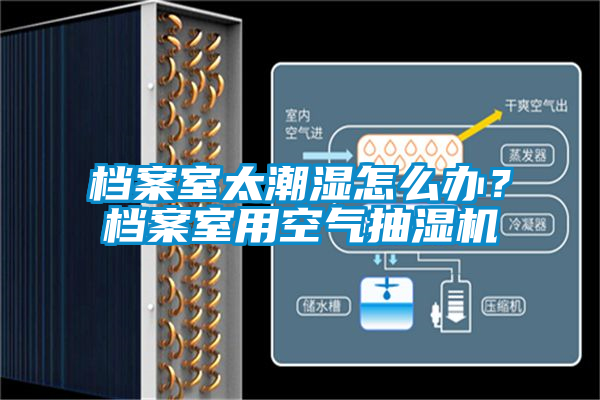 檔案室太潮濕怎么辦？檔案室用空氣抽濕機(jī)