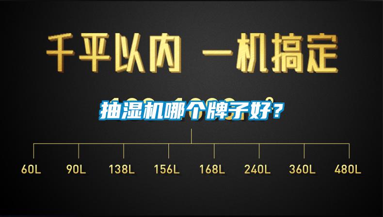 抽濕機(jī)哪個(gè)牌子好？