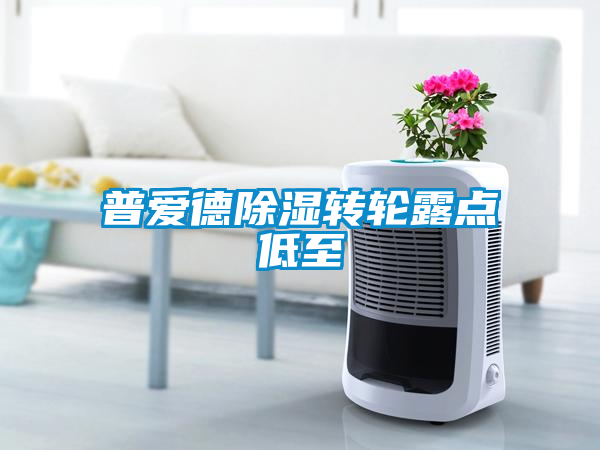 普愛德除濕轉(zhuǎn)輪露點(diǎn)低至
