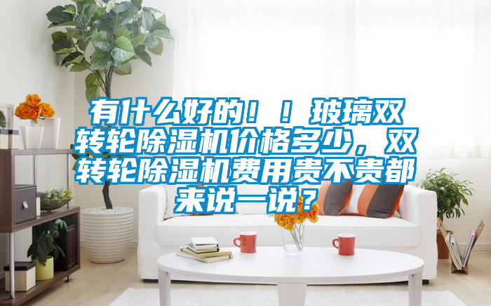 有什么好的?。〔Ａщp轉(zhuǎn)輪除濕機(jī)價格多少，雙轉(zhuǎn)輪除濕機(jī)費(fèi)用貴不貴都來說一說？