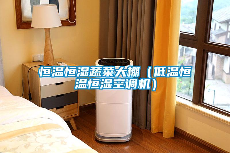 恒溫恒濕蔬菜大棚（低溫恒溫恒濕空調(diào)機）