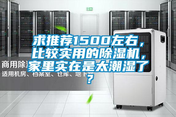 求推薦1500左右，比較實用的除濕機(jī)，家里實在是太潮濕了？