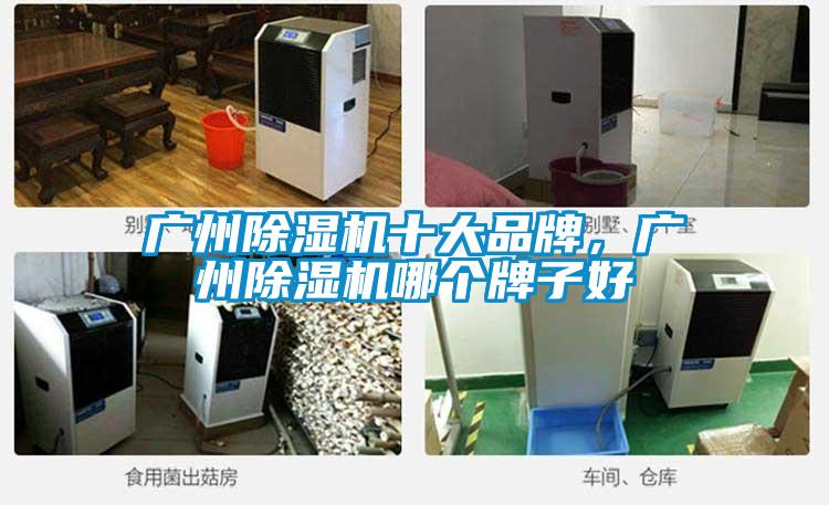 廣州除濕機(jī)十大品牌，廣州除濕機(jī)哪個(gè)牌子好
