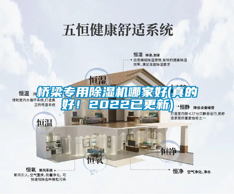 橋梁專(zhuān)用除濕機(jī)哪家好(真的好！2022已更新)