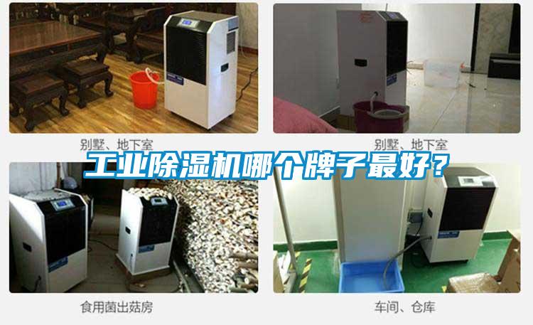 工業(yè)除濕機(jī)哪個(gè)牌子最好？