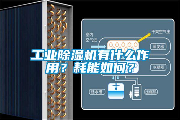 工業(yè)除濕機(jī)有什么作用？耗能如何？