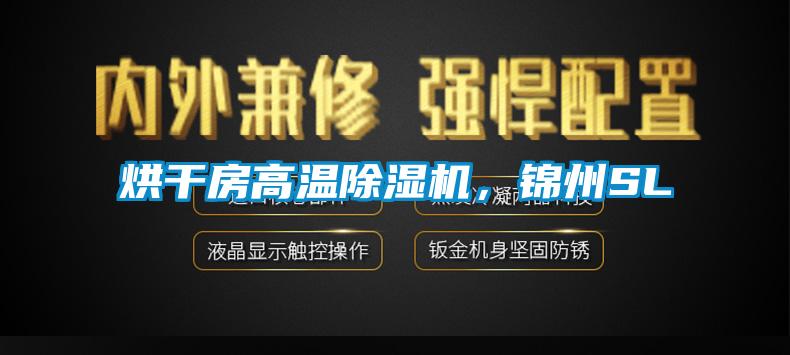烘干房高溫除濕機(jī)，錦州SL