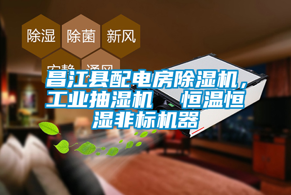 昌江縣配電房除濕機(jī)，工業(yè)抽濕機(jī)  恒溫恒濕非標(biāo)機(jī)器