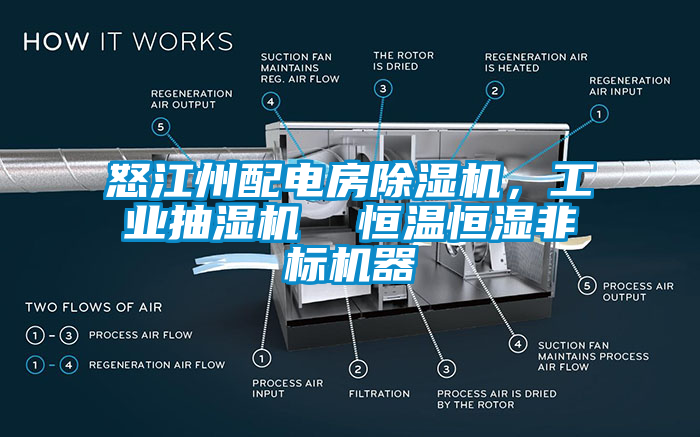 怒江州配電房除濕機，工業(yè)抽濕機  恒溫恒濕非標(biāo)機器