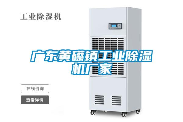 廣東黃礤鎮(zhèn)工業(yè)除濕機廠家