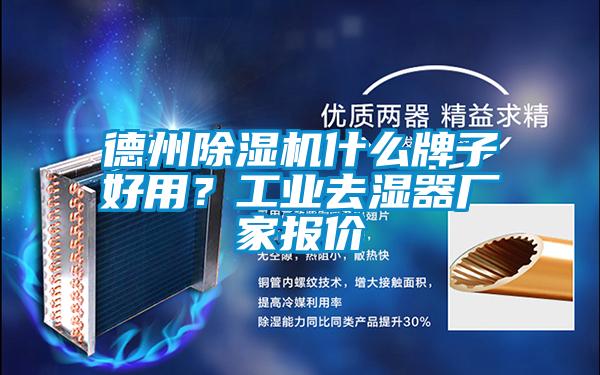 德州除濕機(jī)什么牌子好用？工業(yè)去濕器廠家報(bào)價(jià)