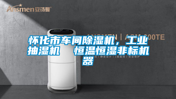 懷化市車間除濕機(jī)，工業(yè)抽濕機(jī)  恒溫恒濕非標(biāo)機(jī)器