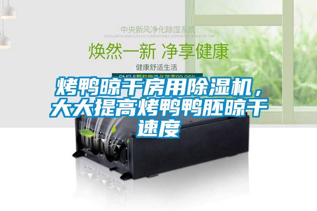 烤鴨晾干房用除濕機(jī)，大大提高烤鴨鴨胚晾干速度