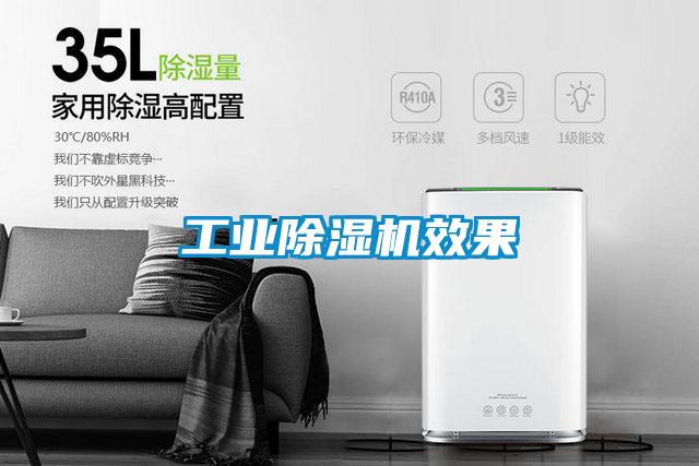 工業(yè)除濕機(jī)效果