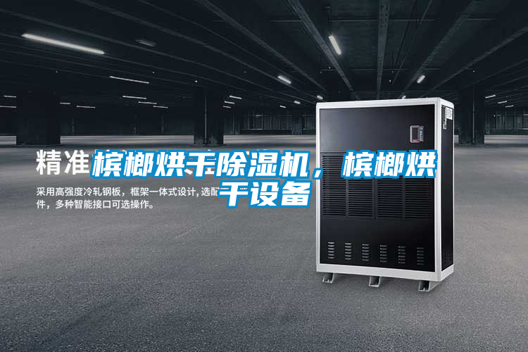 檳榔烘干除濕機，檳榔烘干設(shè)備