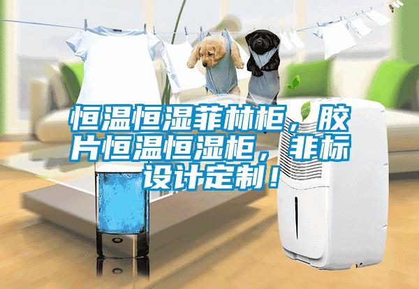 恒溫恒濕菲林柜，膠片恒溫恒濕柜，非標設計定制！