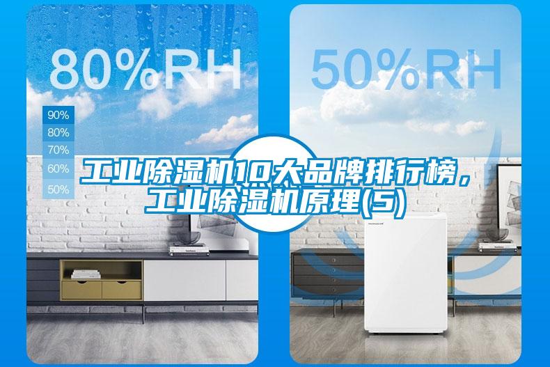 工業(yè)除濕機10大品牌排行榜，工業(yè)除濕機原理(5)