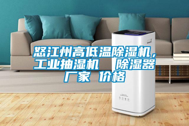 怒江州高低溫除濕機(jī)，工業(yè)抽濕機(jī)  除濕器廠家 價格