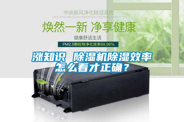 漲知識 除濕機除濕效率怎么看才正確？