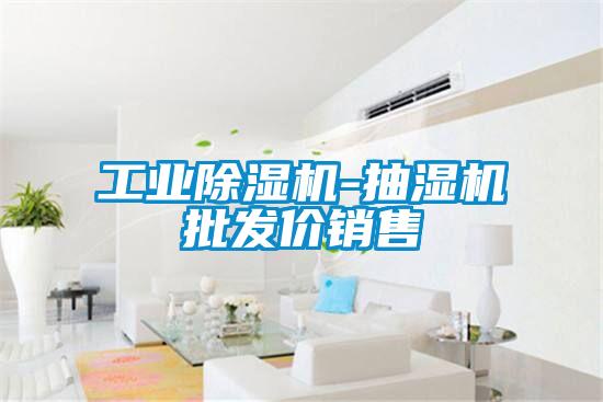 工業(yè)除濕機-抽濕機批發(fā)價銷售